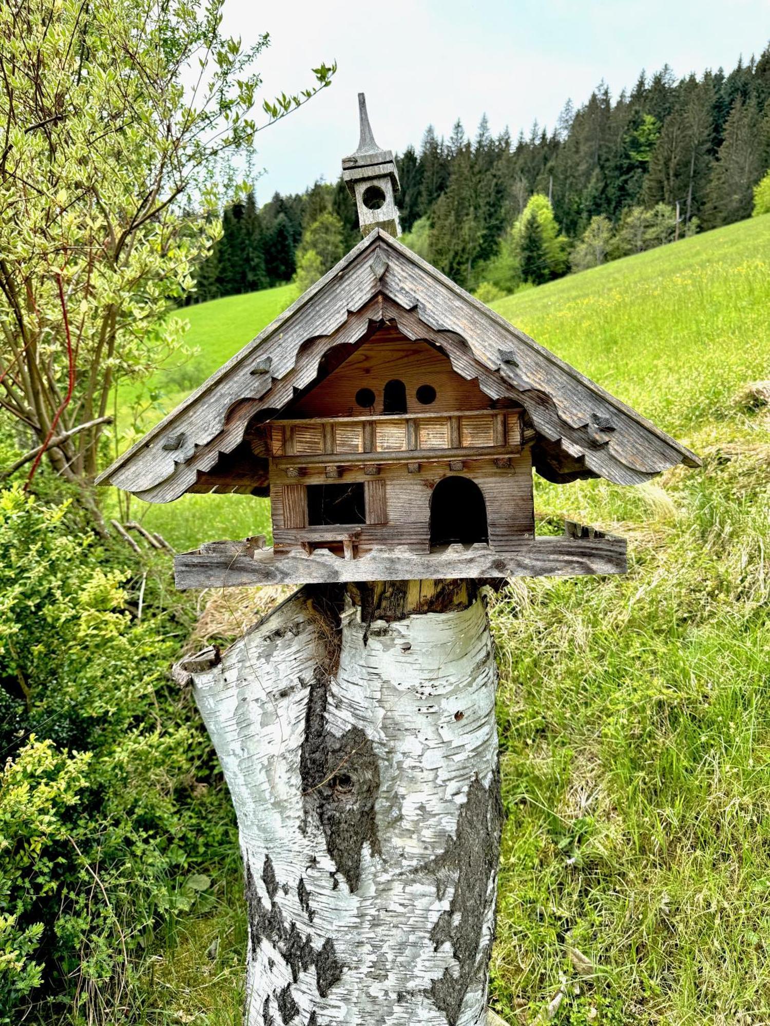 5* Panorama Chalet Mit Sauna By Belle Stay Going am Wilden Kaiser エクステリア 写真